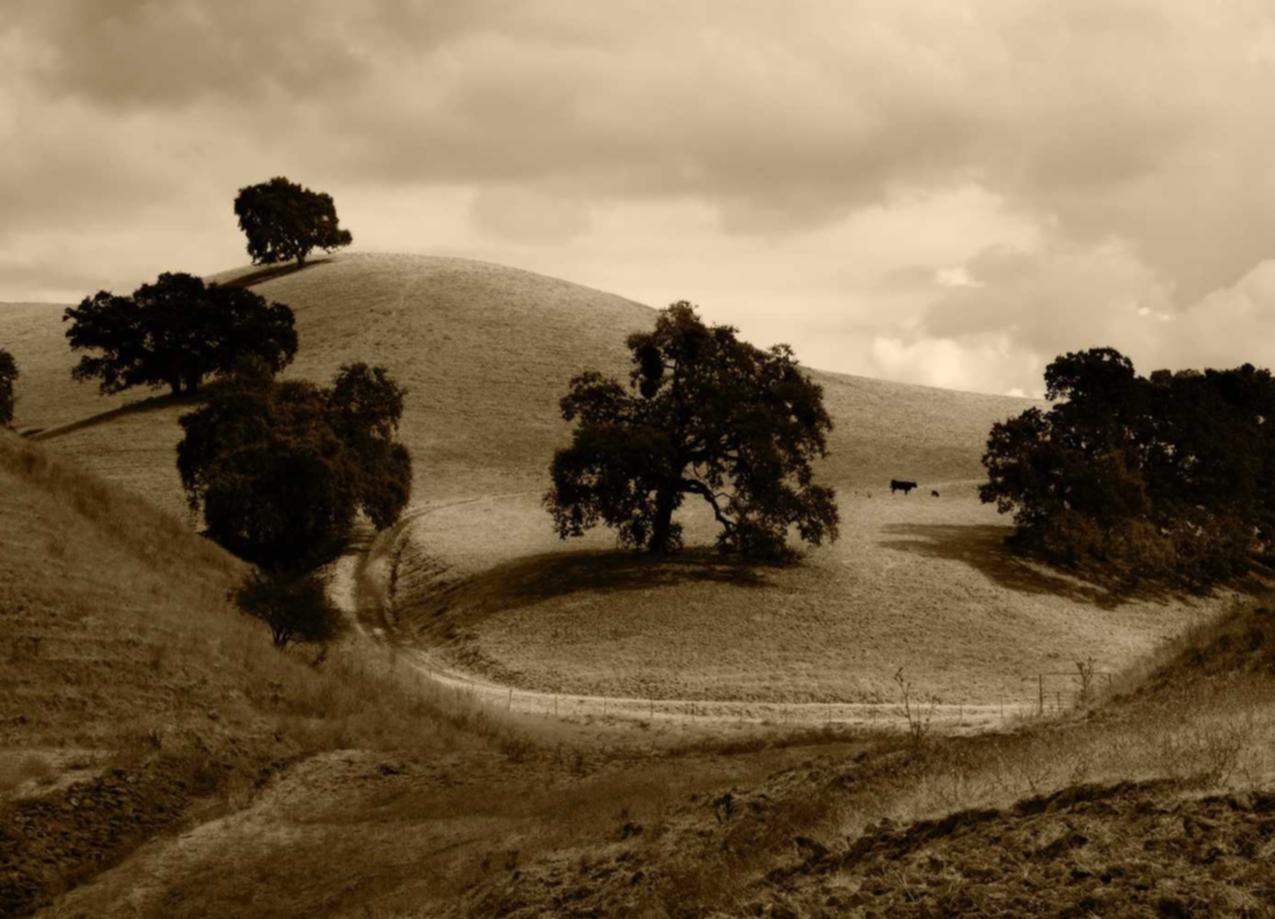 运城股指期货开户服务平台
